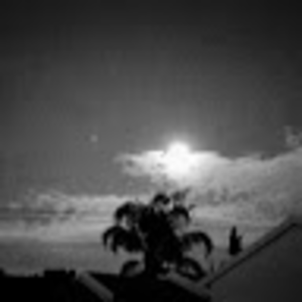 Meet your Posher, Mayisha